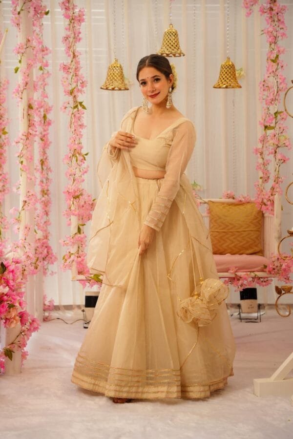 Serene snowfall organza lehenga set - Image 2