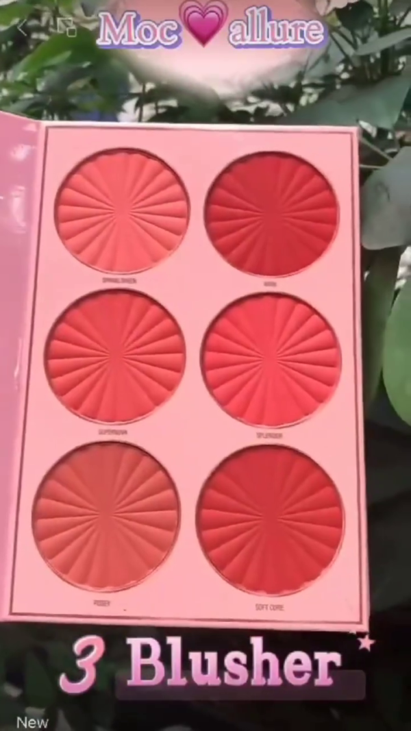 All-in-One Makeup Palette – 21-Shade Eyeshadow Collection, 6 Blushers, and 6 Highlighters for Stunning Day-to-Night Looks - Image 2